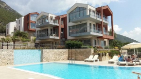 Acacia Hill olive tree apartment